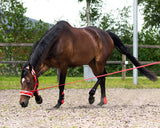 Longeerlijn in tas Rood