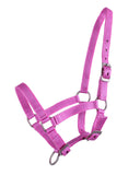 Foal halter dark blue