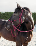 Rope halter with reins Bordeaux
