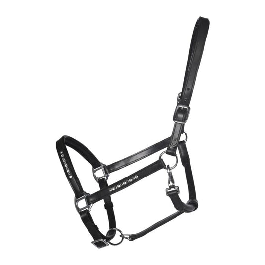 Lederen halster Zwart