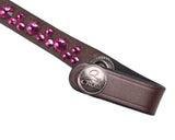 Browband Eldorado Black/Paradise