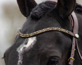 Lupine Bridle Brown/Beige