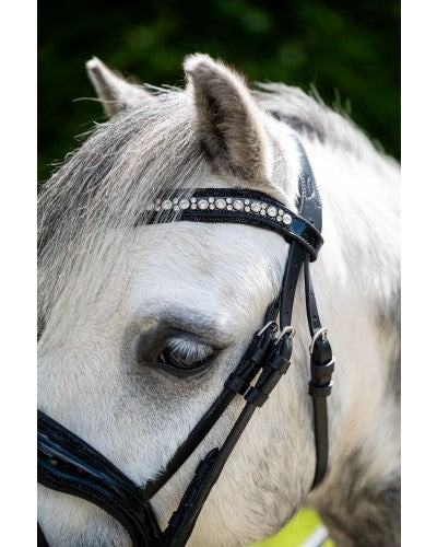 HB Showtime Stockholm A-Pony