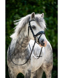 HB Showtime Stockholm A-Pony