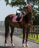 Tendon boots Brown
