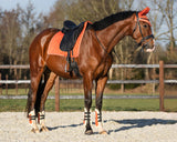 Tendon boots Menton Amber Gold