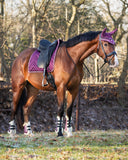 Menton Plum tendon boots