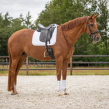 Voorbeenbeschermers Champion Wit