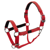 Halster Jade Tango Red
