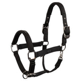 Halster Eevolv Josh Meteorite