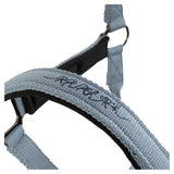 Halster Eevolv Josh Ashley Blue