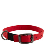 Honden Halsband Tango Red