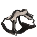 Hondentuigje Moon Rock