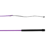 Lunging whip purple