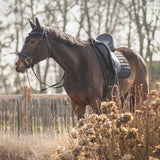 Oornetje Salerno Zwart