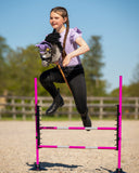 Oornetje Hobby Horse Lila