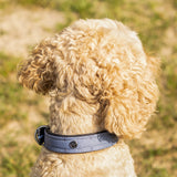 Hondenhalsband Misty Blue