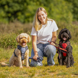 Hondenriem Misty Blue