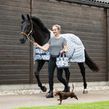 Poetstas Stable Buddy