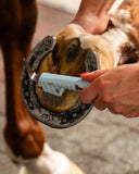 Borstelset Stable Buddy