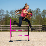 Hindernis Hobby Horse Fuchsia