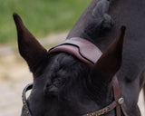 Lupine Bridle Brown/Beige