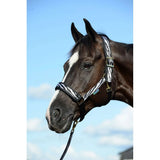Halster Bucas Zebra