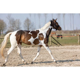 Hi Gloss Glitter Spray Turquoise