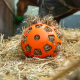 Slowfeeder Fun & Flex Bal Oranje