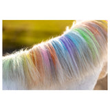 Lucky Horse Unicorn Regenboog Kleurkrijt