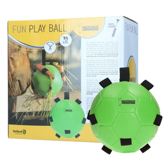 Fun Play Ball Groen