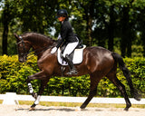 PresTeq rijbroek PerformNow Full Grip Wit