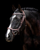 PresTeq Hoofdstel FaySport Bruin