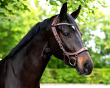 PresTeq Hoofdstel FaySport Bruin