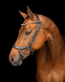 PresTeq Hoofdstel FaySport Zwart