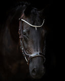 PresTeq hoofdstel FaySport glitter Bruin