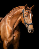 PresTeq hoofdstel FaySport glitter Zwart