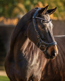 PresTeq hoofdstel FaySport glitter Zwart