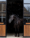 PresTeq hoofdstel FaySport glitter Zwart