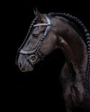 PresTeq hoofdstel FaySport glitter Zwart