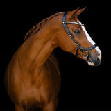 Hoofdstel Faysport Shine Zwart