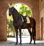 LeMieux Saddle Pad Suede Square Dressage Alpine