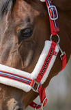 Halster Equine Sports Rood