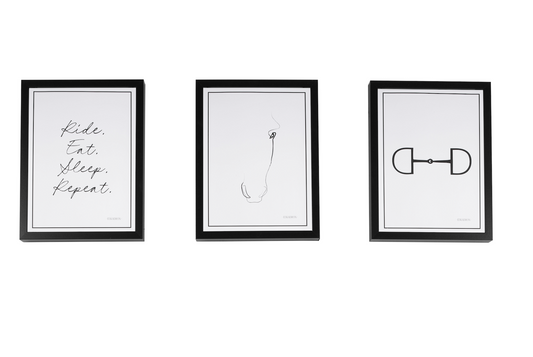 Eskadron Platinum Wanddecoratie Set