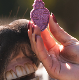 Paarden biscuits