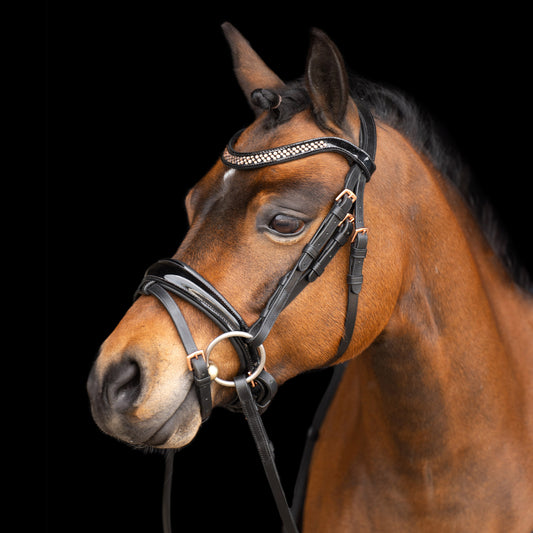 Bridle IRH Petit Black-Pink
