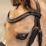 Bridle IRH Petit Black-Pink