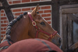 Eskadron Halster Sparkle Double Pin Heritage Merlot