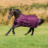 Bucas Freedom Turnout Blackberry light