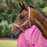 Halster Bucas Aurora Pink